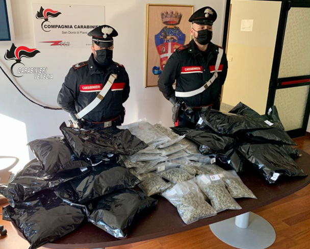 SAN DONA': 31 KG DI MARIJUANA SEQUESTRATA IN CASA, ARRESTATO UN ALBANESE